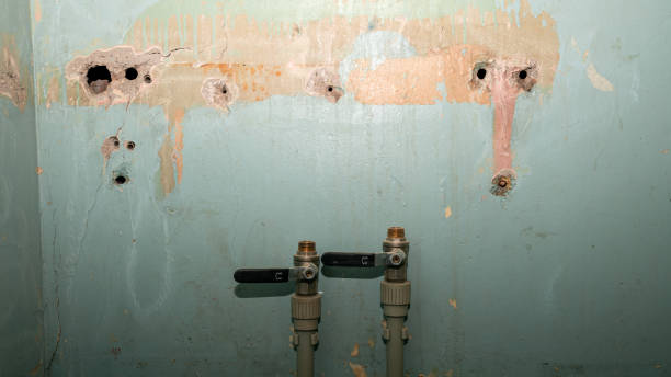 Water damage restoration mold remediation in NV